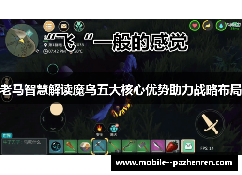 老马智慧解读魔鸟五大核心优势助力战略布局