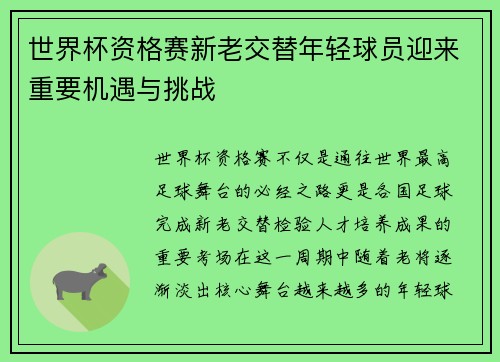 世界杯资格赛新老交替年轻球员迎来重要机遇与挑战