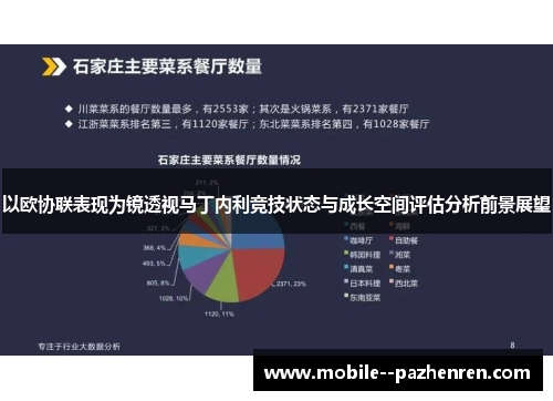 以欧协联表现为镜透视马丁内利竞技状态与成长空间评估分析前景展望